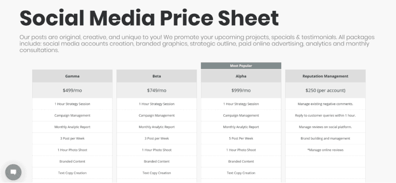 Social Media Managament Charge Cost Price Sheet Example