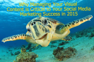 Why Managing Your Visual Content is Critical to Your Social Media Marketing Success in 2015