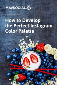 develop an instagram color palette