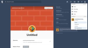 Screenshot of a brand new not customized Tumblr blog page