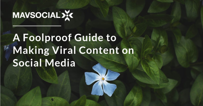 guide-to-making-viral-content-on-social-media-blog