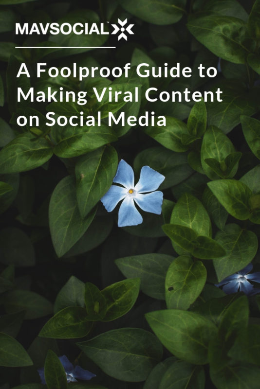 guide-to-making-viral-content-on-social-media-blog-pinterest